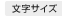文字サイズ
